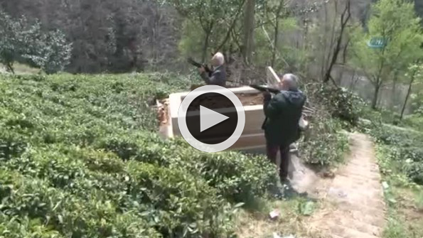 Mezarlıkta tüfekle ayı nöbeti