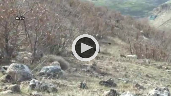3 terörist öldürüldü, 2’si yakalandı, 5’i teslim oldu