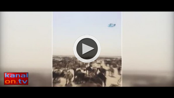Suudi Arabistan, Katar develerini sınır dışı etti