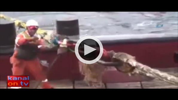 Kopan halat denizciyi canından etti