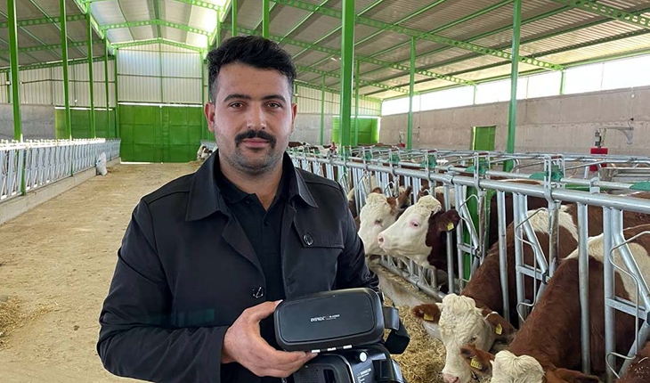 İneklere sanal gerçeklikle yeşil çayırları izleterek süt üretimini artırmayı hedefliyor