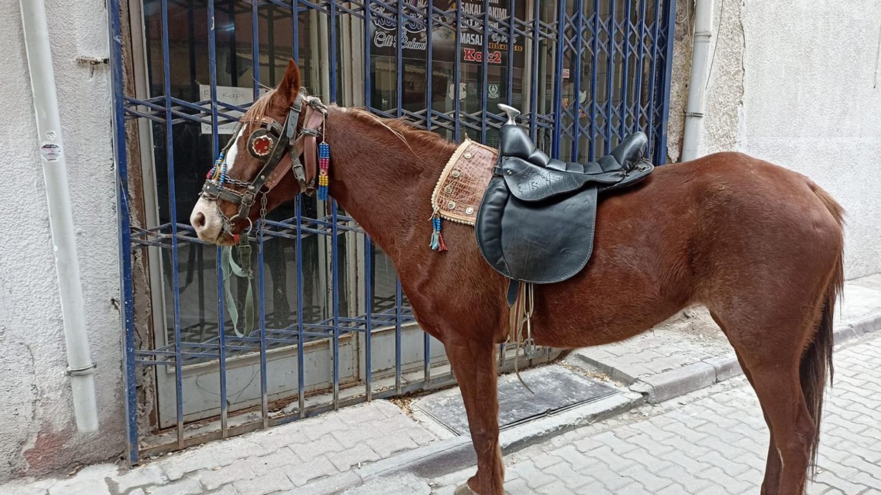 Konya’da “dur“ ihtarına uymayan atlıya 10 bin 111 lira ceza